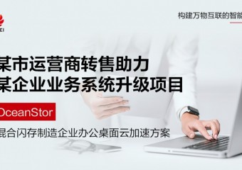 某市运营商转售助力某企业业务系统升级项目