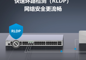 RG-S2910V2-48GT4SFP-L