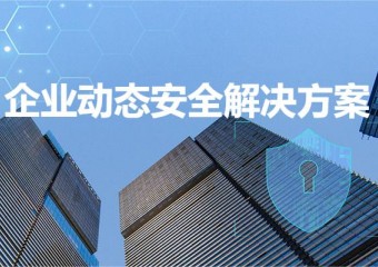 锐捷 企业动态安全解决方案