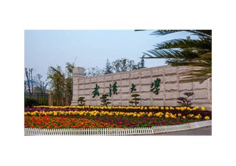 武汉大学项目