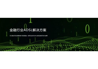 绿盟 金融行业ADSL解决方案