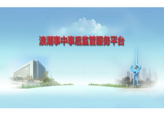 浪潮inspur 浪潮事中事后监管服务解决方案