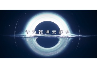 华为 乾坤安全分支解决方案