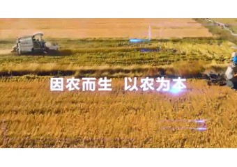 华为 国元保险携手华为SD-WAN助“三农”高质量发展