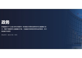 好视通 政务解决方案